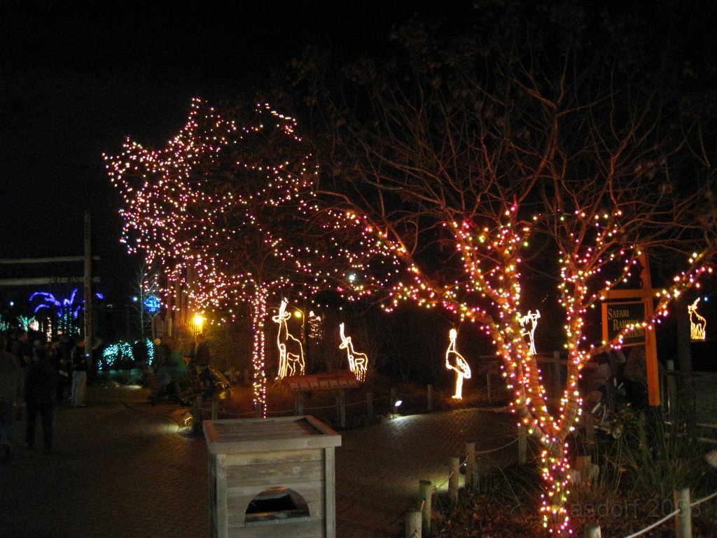 Toledo Zoo Lights 2008 011.jpg - The regular visit to the Toledo Ohio Zoo to see the Christmas Lights displays. New this trip were the "Dancing Lights", displays flashing in time with the Christmas Songs.